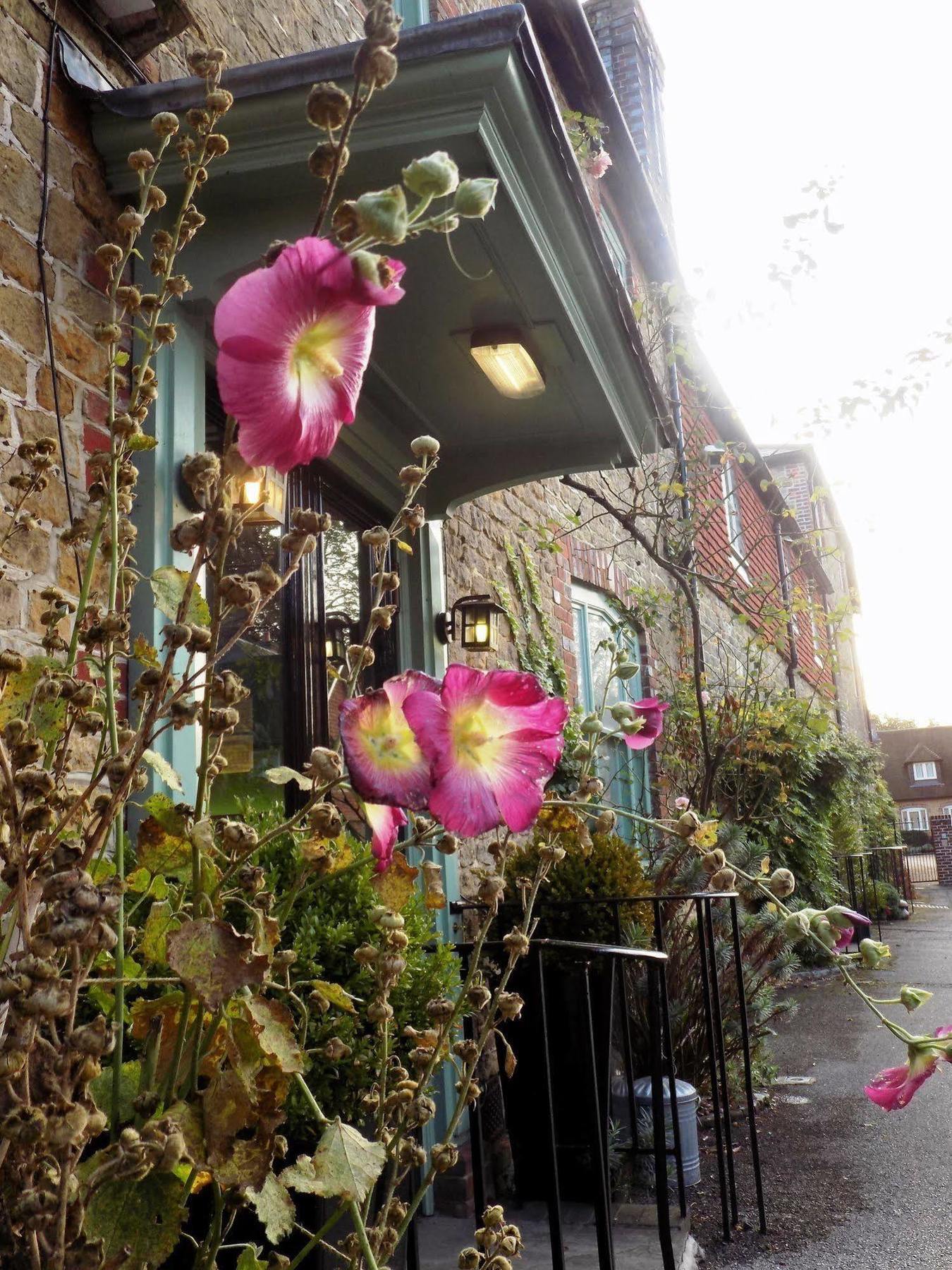 The Angel B&B Chichester Esterno foto